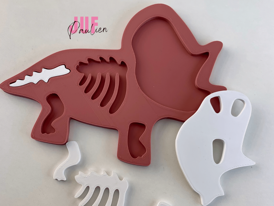 Triceratops bones puzzle